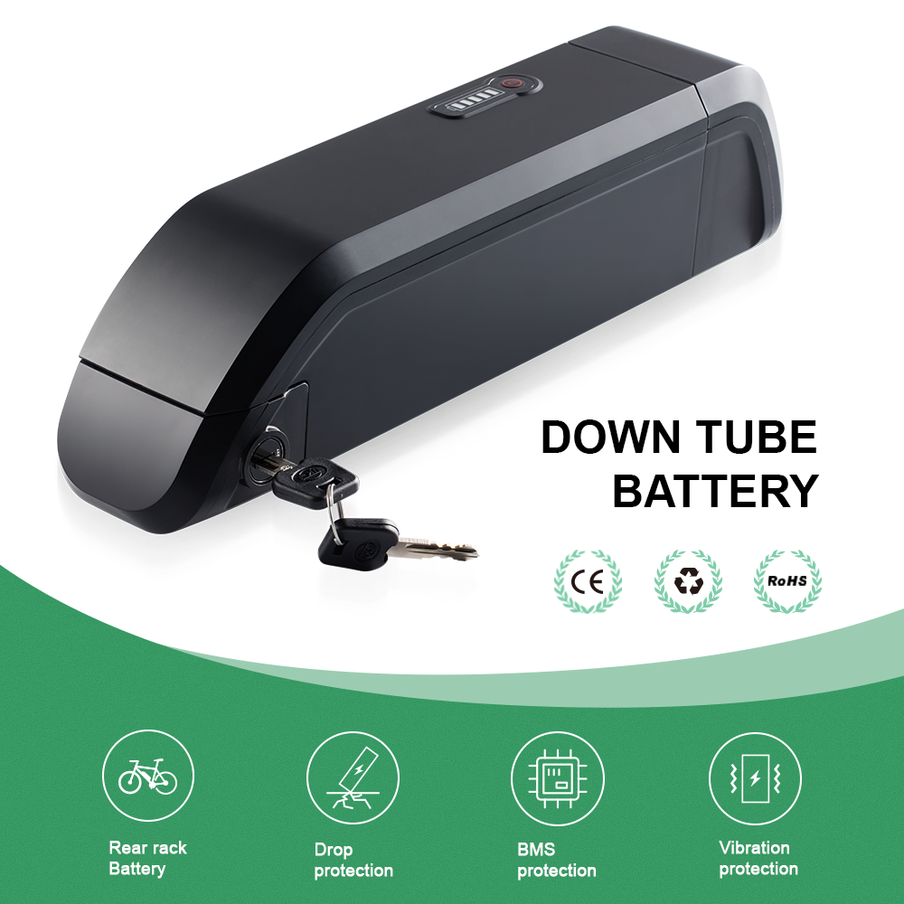 Phylion battery price hotsell