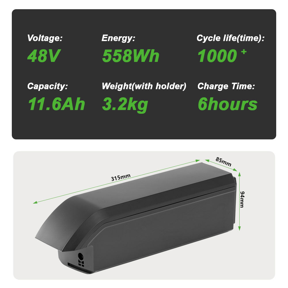 48V 11.6Ah(558Wh) Phylion Battery SF-06S Joycube Battery JCEB480-11.6 for E-Bikes Pedelecs Fischer